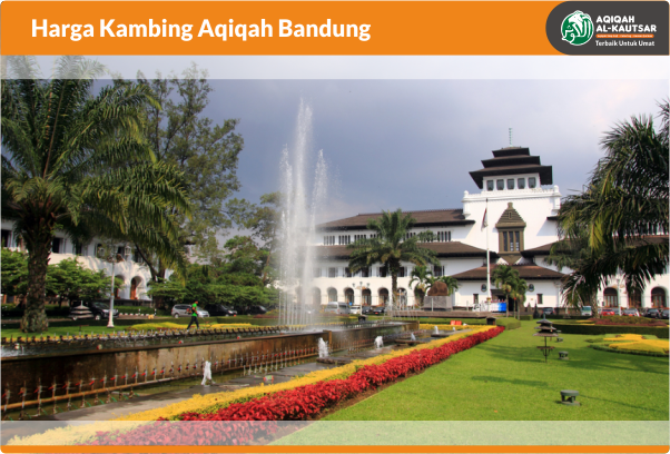 harga kambing aqiqah bandung