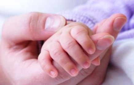 Persiapan Penuh Semangat dalam Menyambut Kelahiran Bayi – Bagian 2