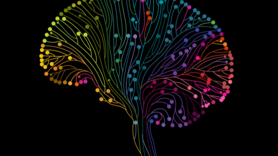 Minggu ke 15 Kelahiran – Bagian 2